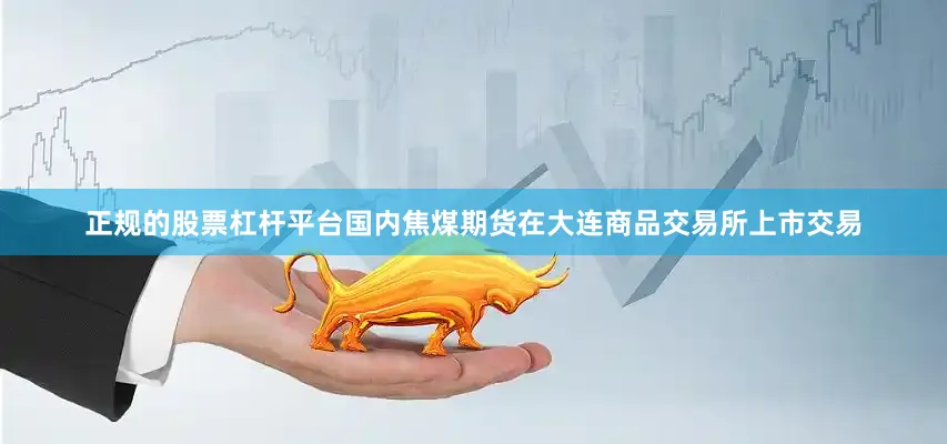正规的股票杠杆平台国内焦煤期货在大连商品交易所上市交易