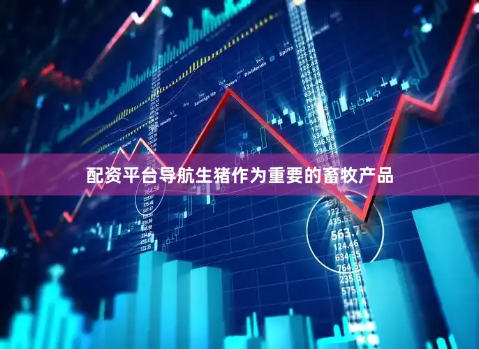 配资平台导航生猪作为重要的畜牧产品