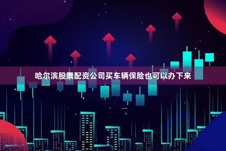 哈尔滨股票配资公司买车辆保险也可以办下来